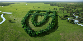 健康是“檢驗(yàn)”出來的！2022年度世友地板市場抽檢報(bào)告公布